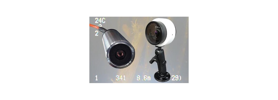 Wired Underwater Cameras | Surveillance
